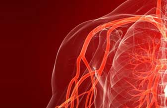 Clinica Medica Wajman - Foto 1