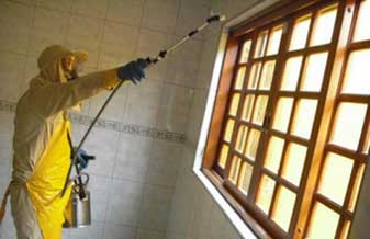 Dedetizadora Avenida Paulista - Foto 1