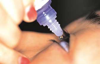 Vera Lucia Degaspare Monte Mascaro - Foto 1