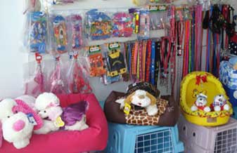 Pet Biodiversidade - Foto 1