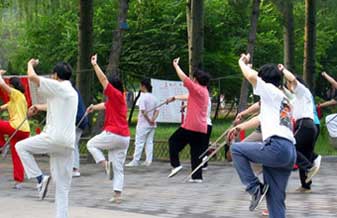 Sociedade Brasileira de Tai Chi Chuan Familia Yang - Foto 1