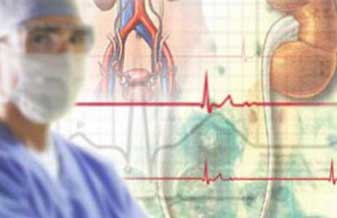 Pedro Luiz Macedo Cortado - Foto 1