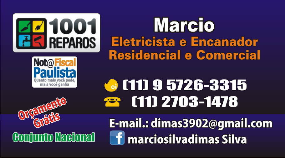 1001 reparos - Foto 1