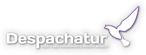 Despachatur Ltda - Foto 2