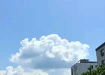 variação climática