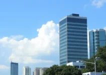 Avenida Paulista Aberta