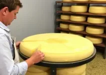 Fazenda produtora de queijo em Pardinho
