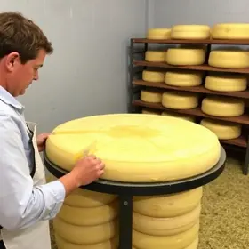 Fazenda produtora de queijo em Pardinho
