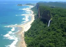 Funcionamento da Seccional de Rio Claro