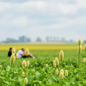 III Fórum Bioinsumos no Agro