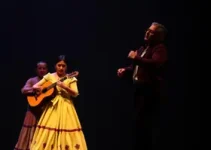 Os Saltimbancos