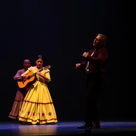 Os Saltimbancos