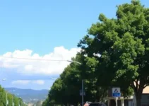 Povo escolheu