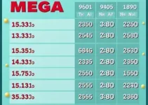 resultado mega-sena 3049