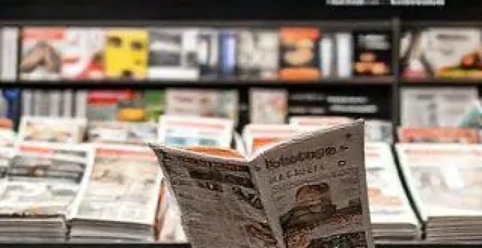 Revista PublishNews
