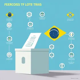inelegibilidade